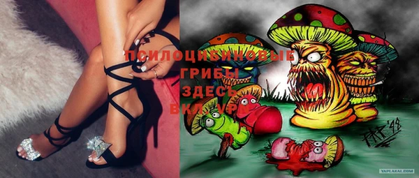 хмурый Бородино