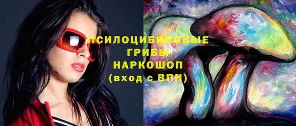 винт Верея