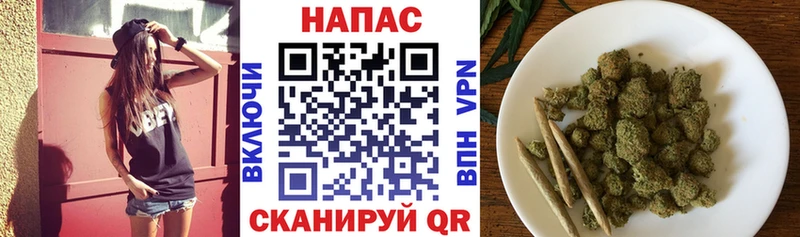 Бошки Шишки сатива  наркотики  Сураж 